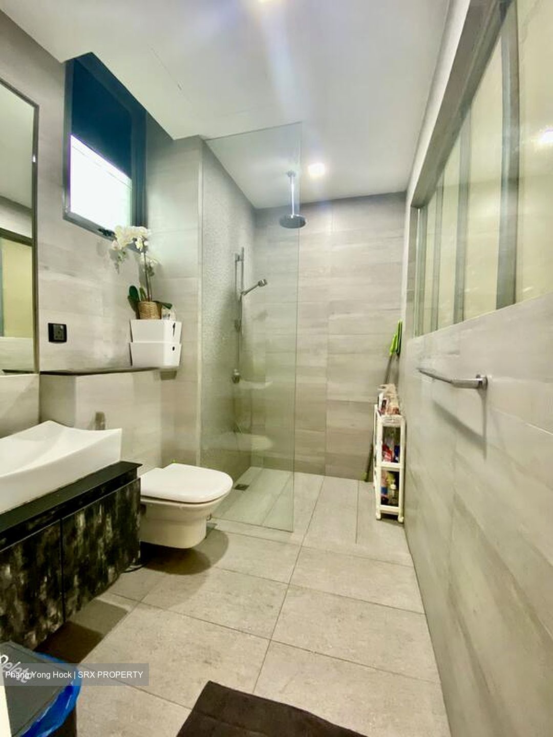 Meridian 38 (D15), Apartment #520864031